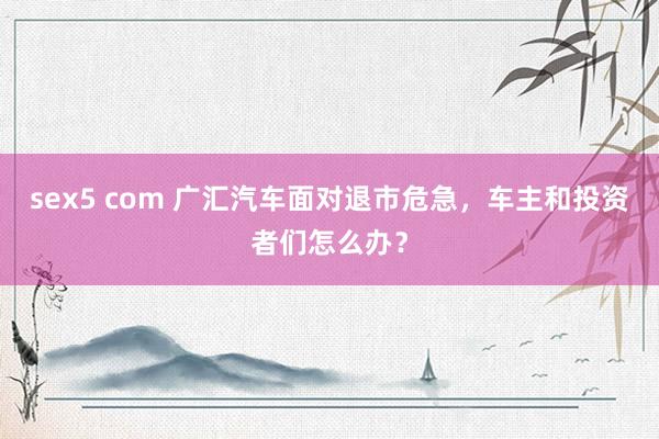 sex5 com 广汇汽车面对退市危急，车主和投资者们怎么办？