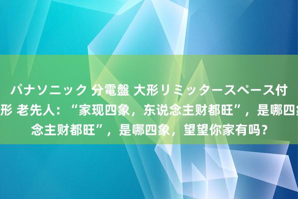 パナソニック 分電盤 大形リミッタースペース付 露出・半埋込両用形 老先人：“家现四象，东说念主财都旺”，是哪四象，望望你家有吗？