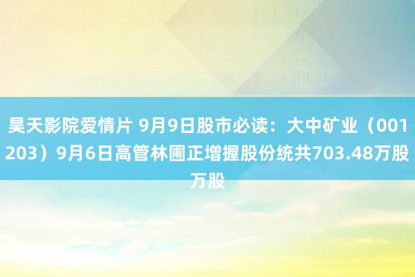 昊天影院爱情片 9月9日股市必读：大中矿业（001203）9月6日高管林圃正增握股份统共703.48万股