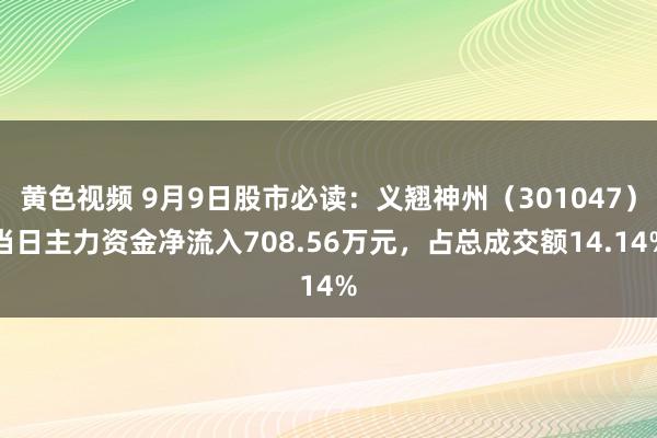 黄色视频 9月9日股市必读：义翘神州（301047）当日主力资金净流入708.56万元，占总成交额14.14%