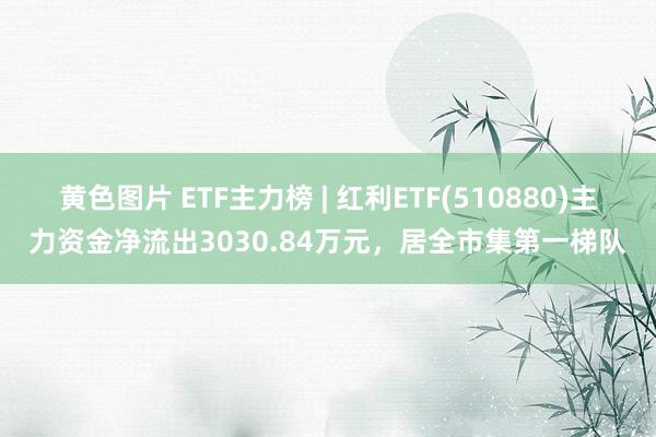 黄色图片 ETF主力榜 | 红利ETF(510880)主力资金净流出3030.84万元，居全市集第一梯队