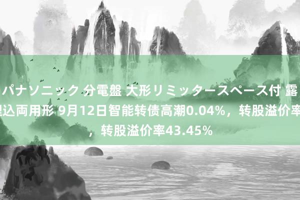 パナソニック 分電盤 大形リミッタースペース付 露出・半埋込両用形 9月12日智能转债高潮0.04%，转股溢价率43.45%