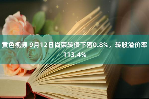 黄色视频 9月12日尚荣转债下落0.8%，转股溢价率113.4%