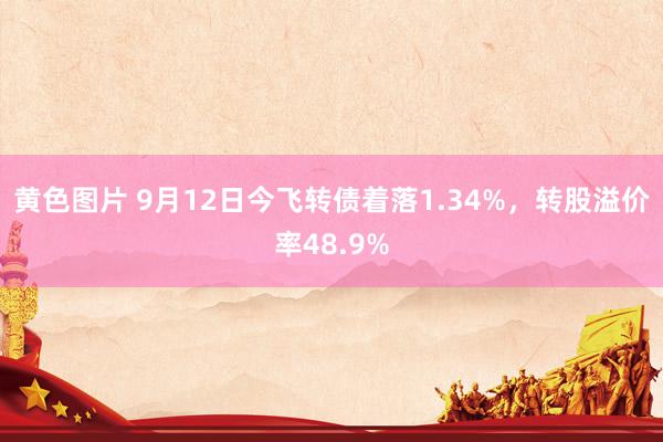 黄色图片 9月12日今飞转债着落1.34%，转股溢价率48.9%