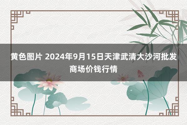 黄色图片 2024年9月15日天津武清大沙河批发商场价钱行情