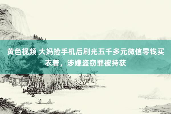 黄色视频 大妈捡手机后刷光五千多元微信零钱买衣着，涉嫌盗窃罪被持获