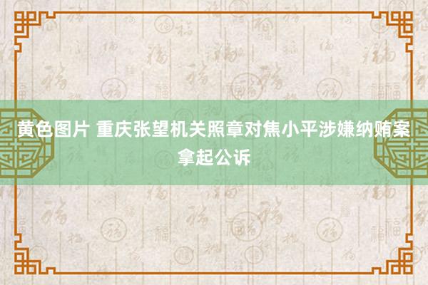 黄色图片 重庆张望机关照章对焦小平涉嫌纳贿案拿起公诉