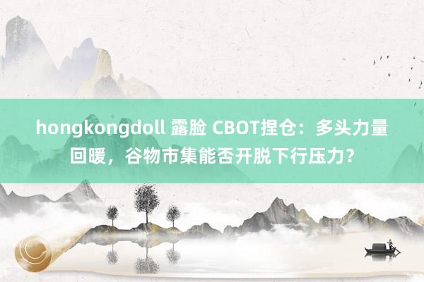 hongkongdoll 露脸 CBOT捏仓：多头力量回暖，谷物市集能否开脱下行压力？