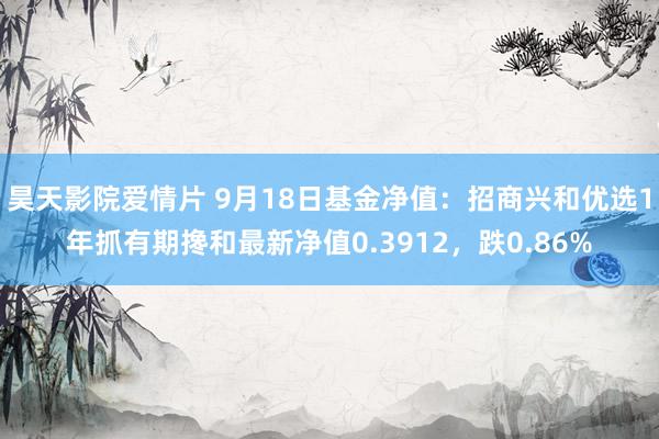 昊天影院爱情片 9月18日基金净值：招商兴和优选1年抓有期搀和最新净值0.3912，跌0.86%