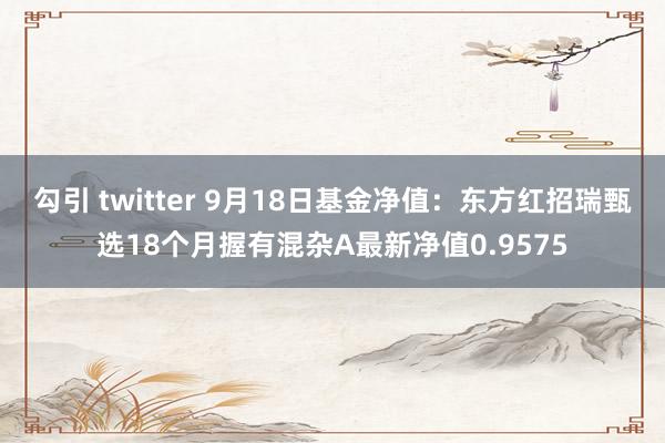 勾引 twitter 9月18日基金净值：东方红招瑞甄选18个月握有混杂A最新净值0.9575