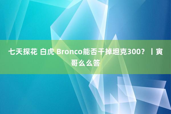 七天探花 白虎 Bronco能否干掉坦克300？丨寅哥么么答