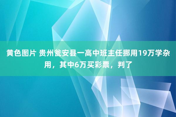 黄色图片 贵州瓮安县一高中班主任挪用19万学杂用，其中6万买彩票，判了