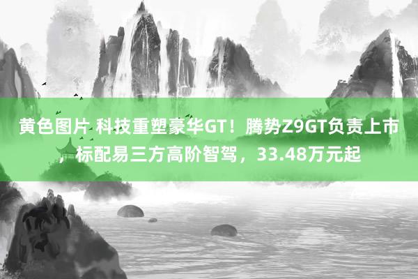 黄色图片 科技重塑豪华GT！腾势Z9GT负责上市，标配易三方高阶智驾，33.48万元起