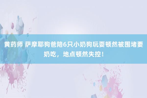 黄药师 萨摩耶狗爸陪6只小奶狗玩耍顿然被围堵要奶吃，地点顿然失控！