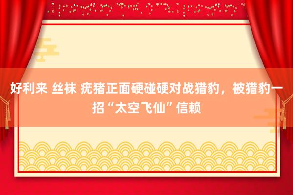 好利来 丝袜 疣猪正面硬碰硬对战猎豹，被猎豹一招“太空飞仙”信赖