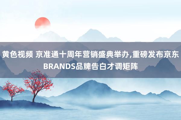 黄色视频 京准通十周年营销盛典举办，重磅发布京东BRANDS品牌告白才调矩阵