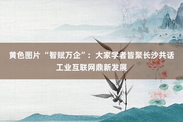 黄色图片 “智赋万企”：大家学者皆聚长沙共话工业互联网鼎新发展