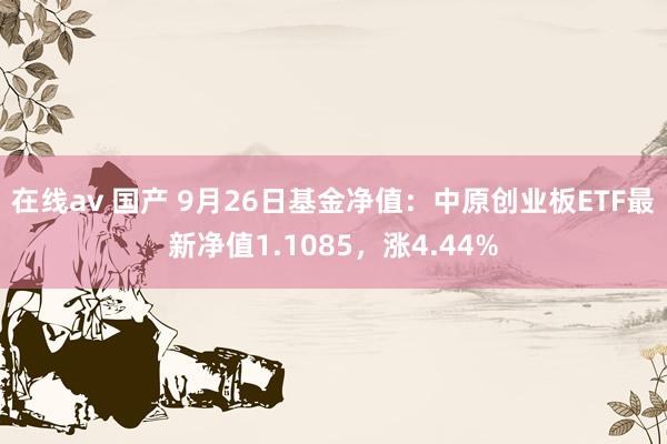 在线av 国产 9月26日基金净值：中原创业板ETF最新净值1.1085，涨4.44%