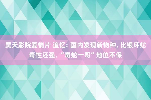 昊天影院爱情片 追忆: 国内发现新物种， 比银环蛇毒性还强， “毒蛇一哥”地位不保