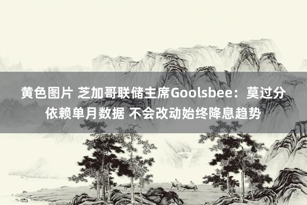 黄色图片 芝加哥联储主席Goolsbee：莫过分依赖单月数据 不会改动始终降息趋势