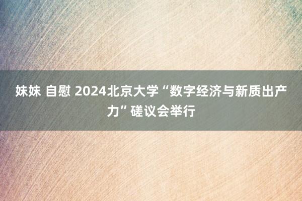 妹妹 自慰 2024北京大学“数字经济与新质出产力”磋议会举行