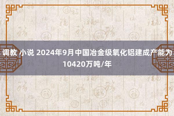 调教 小说 2024年9月中国冶金级氧化铝建成产能为10420万吨/年