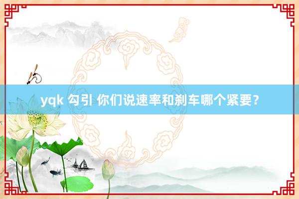 yqk 勾引 你们说速率和刹车哪个紧要？