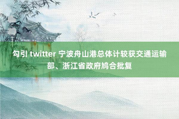 勾引 twitter 宁波舟山港总体计较获交通运输部、浙江省政府鸠合批复