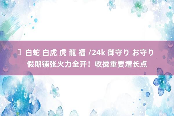 ✨白蛇 白虎 虎 龍 福 /24k 御守り お守り 假期铺张火力全开！收拢重要增长点