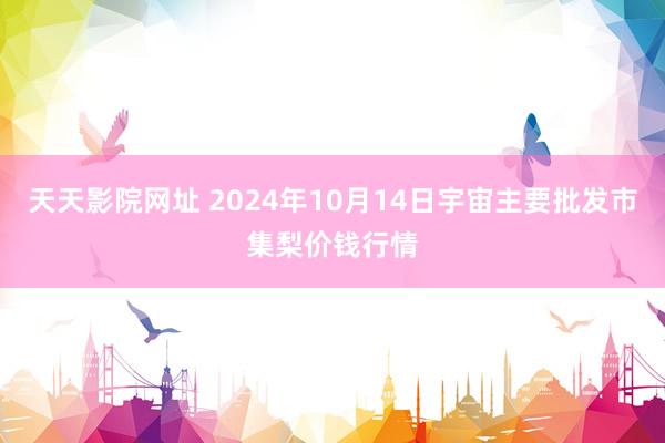 天天影院网址 2024年10月14日宇宙主要批发市集梨价钱行情