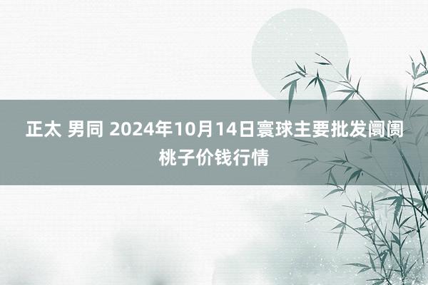 正太 男同 2024年10月14日寰球主要批发阛阓桃子价钱行情