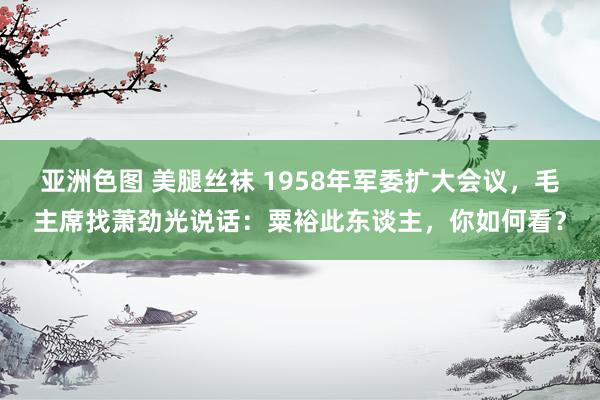 亚洲色图 美腿丝袜 1958年军委扩大会议，毛主席找萧劲光说话：粟裕此东谈主，你如何看？