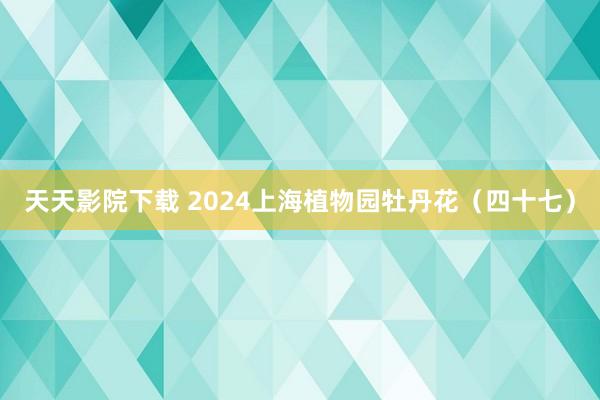 天天影院下载 2024上海植物园牡丹花（四十七）