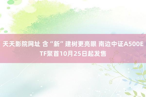 天天影院网址 含“新”建树更亮眼 南边中证A500ETF聚首10月25日起发售