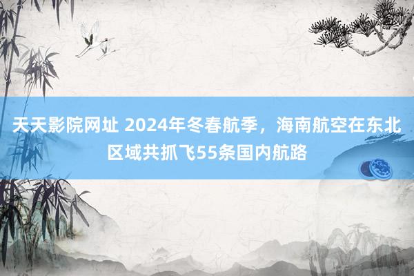 天天影院网址 2024年冬春航季，海南航空在东北区域共抓飞55条国内航路