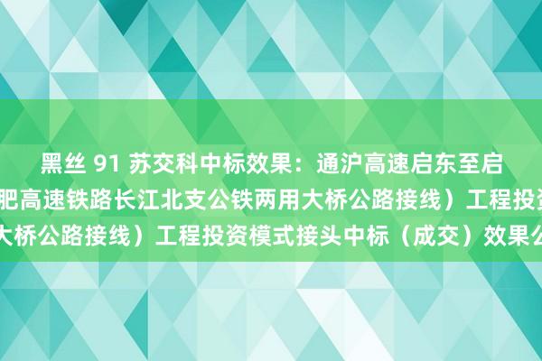 黑丝 91 苏交科中标效果：通沪高速启东至启隆段（上海至南京至合肥高速铁路长江北支公铁两用大桥公路接线）工程投资模式接头中标（成交）效果公告