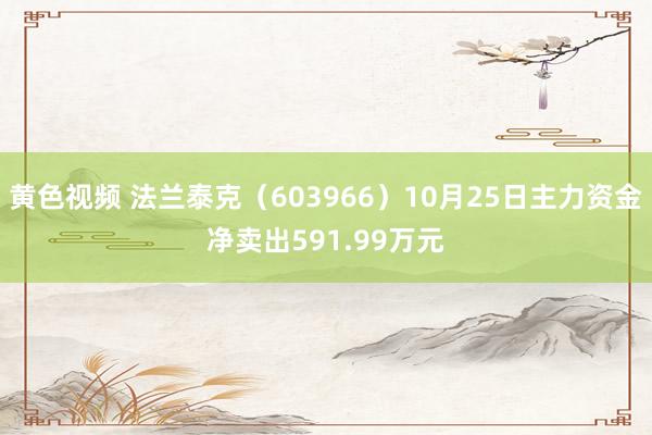 黄色视频 法兰泰克（603966）10月25日主力资金净卖出591.99万元