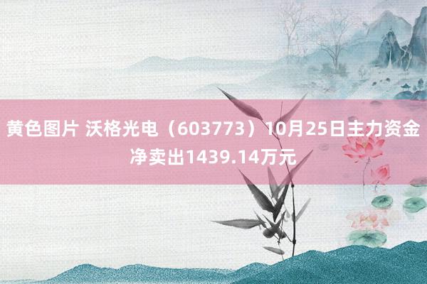 黄色图片 沃格光电（603773）10月25日主力资金净卖出1439.14万元