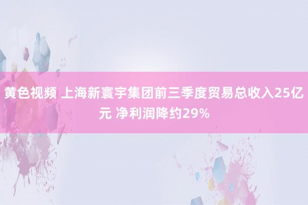 黄色视频 上海新寰宇集团前三季度贸易总收入25亿元 净利润降约29%