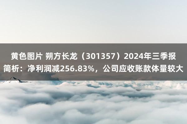 黄色图片 朔方长龙（301357）2024年三季报简析：净利润减256.83%，公司应收账款体量较大