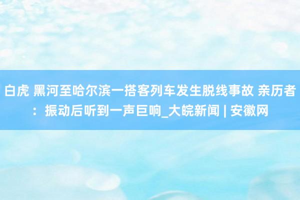 白虎 黑河至哈尔滨一搭客列车发生脱线事故 亲历者：振动后听到一声巨响_大皖新闻 | 安徽网