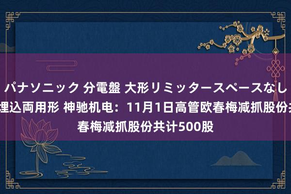 パナソニック 分電盤 大形リミッタースペースなし 露出・半埋込両用形 神驰机电：11月1日高管欧春梅减抓股份共计500股