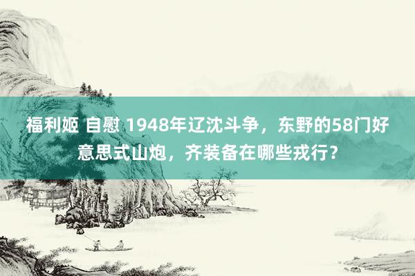 福利姬 自慰 1948年辽沈斗争，东野的58门好意思式山炮，齐装备在哪些戎行？