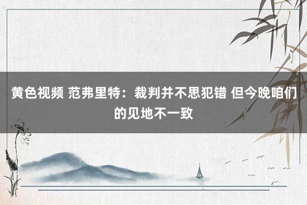 黄色视频 范弗里特：裁判并不思犯错 但今晚咱们的见地不一致