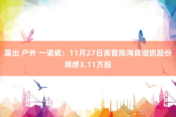 露出 户外 一诺威：11月27日高管陈海良增抓股份绸缪3.11万股