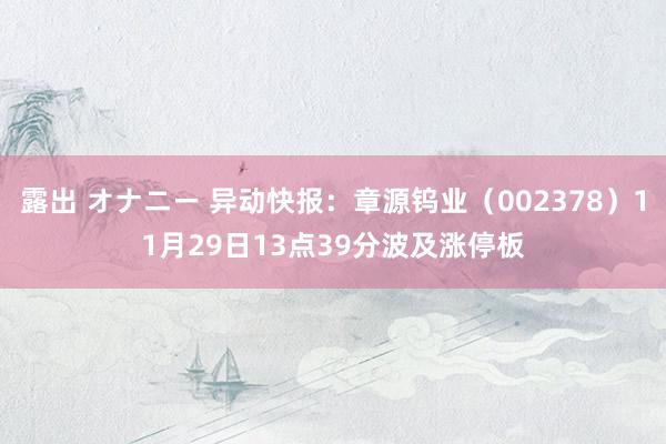 露出 オナニー 异动快报：章源钨业（002378）11月29日13点39分波及涨停板