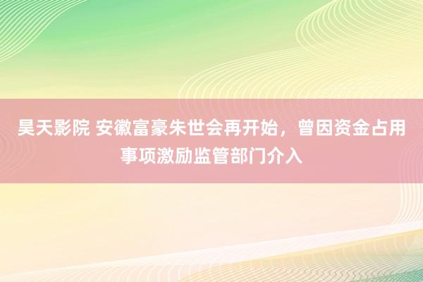 昊天影院 安徽富豪朱世会再开始，曾因资金占用事项激励监管部门介入