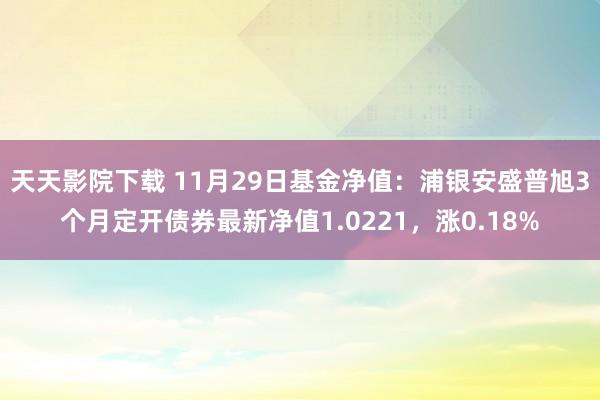 天天影院下载 11月29日基金净值：浦银安盛普旭3个月定开债券最新净值1.0221，涨0.18%