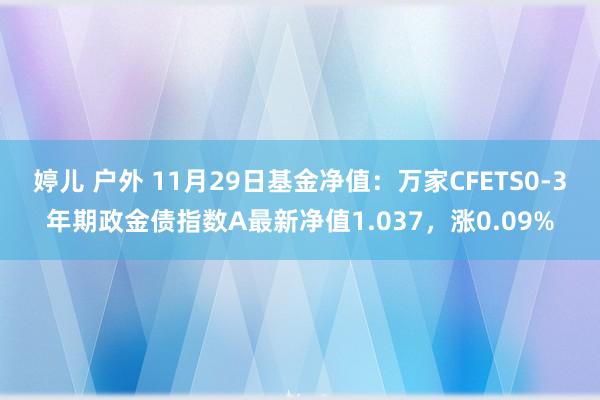 婷儿 户外 11月29日基金净值：万家CFETS0-3年期政金债指数A最新净值1.037，涨0.09%