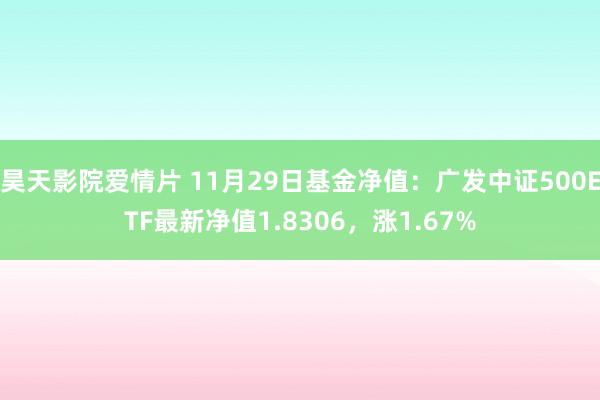 昊天影院爱情片 11月29日基金净值：广发中证500ETF最新净值1.8306，涨1.67%